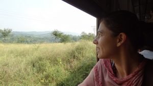 Paisagem Toy Train